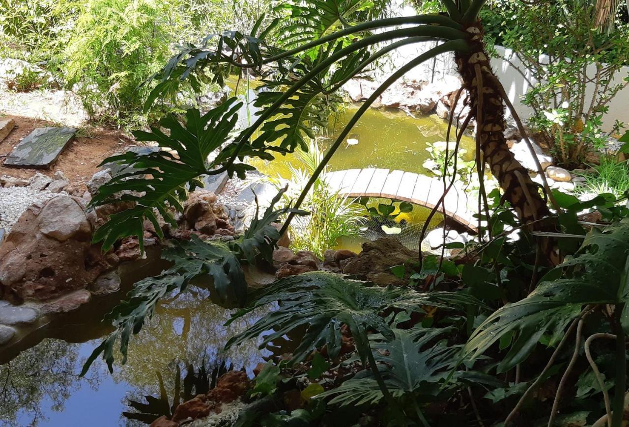 Villa Tortuga Marbella Zewnętrze zdjęcie