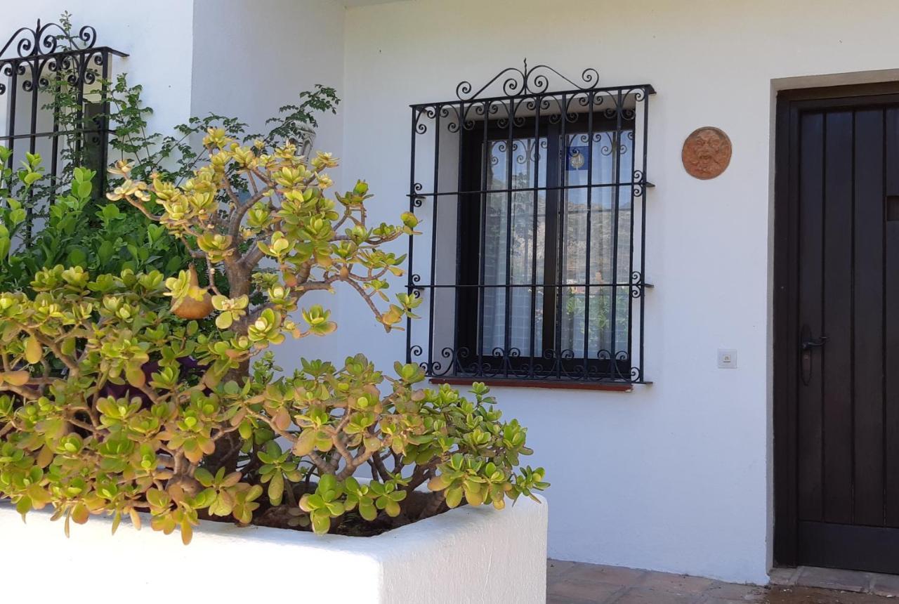 Villa Tortuga Marbella Zewnętrze zdjęcie