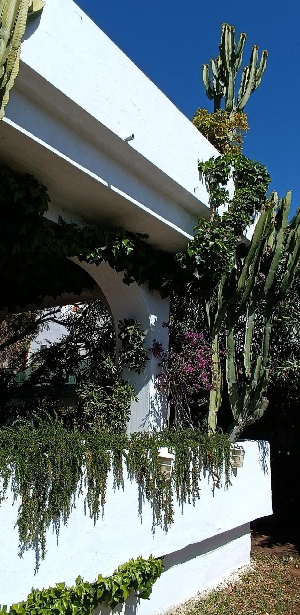 Villa Tortuga Marbella Zewnętrze zdjęcie